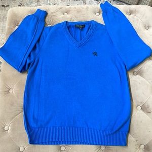 Express V Neck Royal Blue Sweater - Size Large